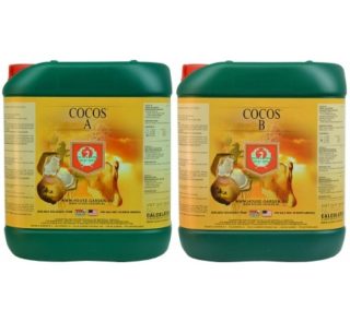 house-and-garden-coco-a-b-5-litre-the-golden-potter-800x800