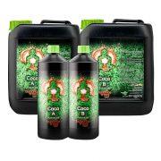 Buddhas Tree Coco A&B