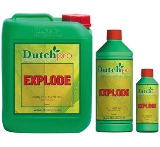 0000842_dutch-pro-explode_1000