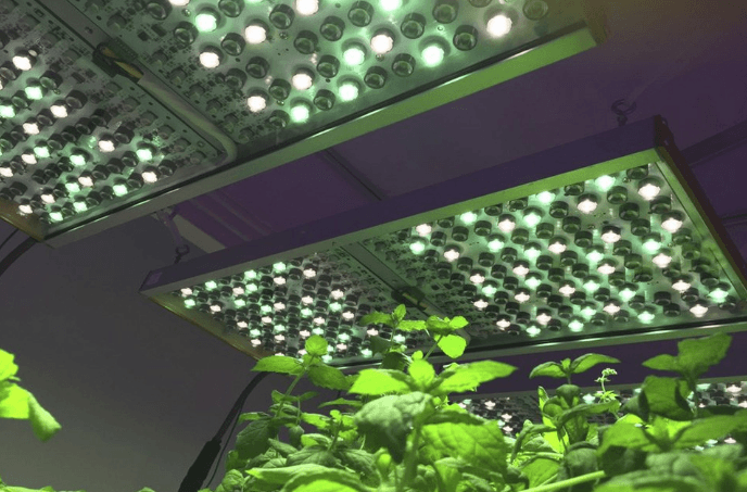 smart grow lighting