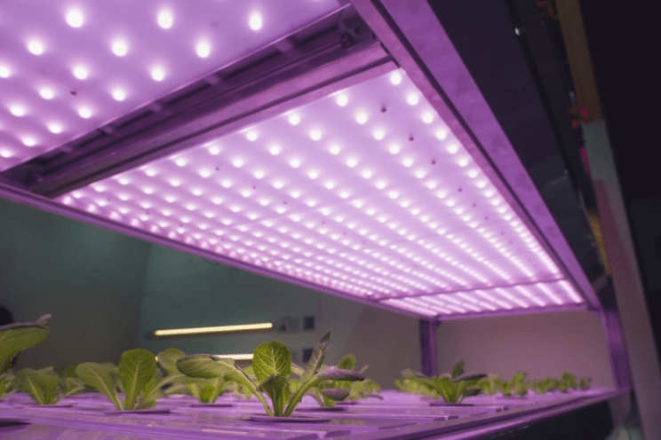 Exploring Smart Grow Lighting
