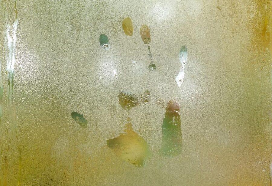 Tips for Preventing Mold and Mildew in Your Grow Tent