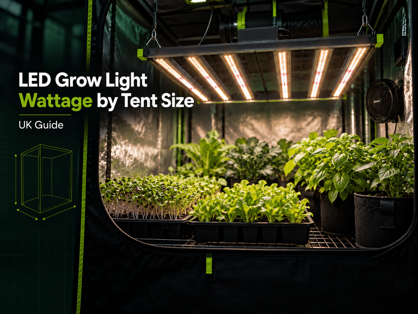 LED grow light wattage by grow tent size UK guide 2026