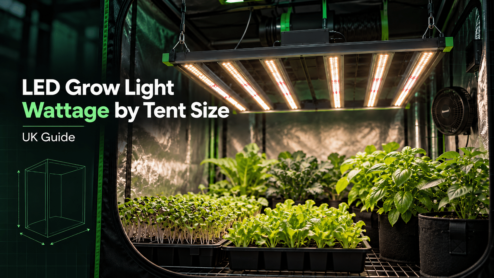LED grow light wattage by grow tent size UK guide 2026