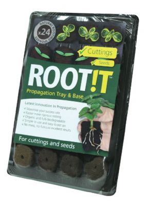 Root IT Plugs – Tray of 24